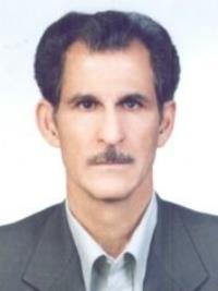 دکتر علی میرزا گودرزی