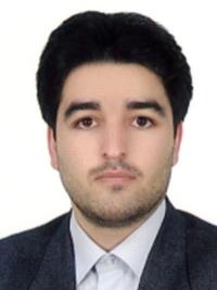 دکتر حامد ولی پور
