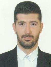 دکتر محمدرضا حسینی فر