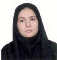 پرنگ سلیمی اقدم