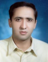 حامد فرزانه کاری