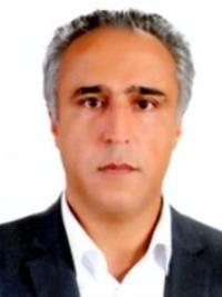 دکتر محمد حکاکی فرد
