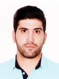 دکتر سیدطه میرجانی