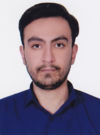دکتر حمیدرضا ربیعی