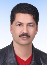 مجتبی کرمی