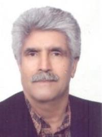 دکتر مسعود افسر