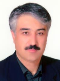 دکتر سیدعباس فروزان