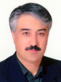دکتر سیدعباس فروزان