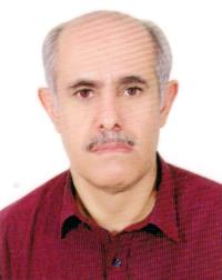 دکتر ایرج میرزائی