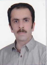 دکتر سعید چوب کار