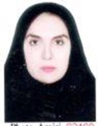 دکتر سیده خدیجه محسنی سنگتابی