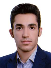 دکتر سیدمحمدمهدی صالحی ابری