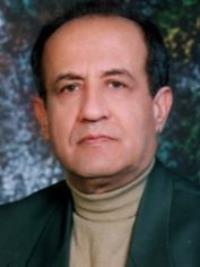 دکتر محمد عارف