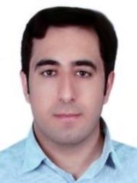 دکتر محسن برزگر
