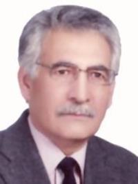 دکتر سیدمحمدجواد دانشگر